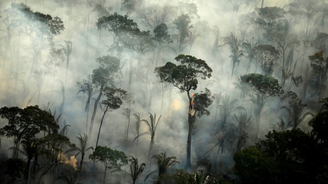 Zjarret në Amazonë shënuan rekord në muajin qershor