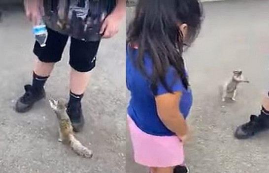 Moment befasues/ Ketri i etur i kërkon ujë një fëmijë