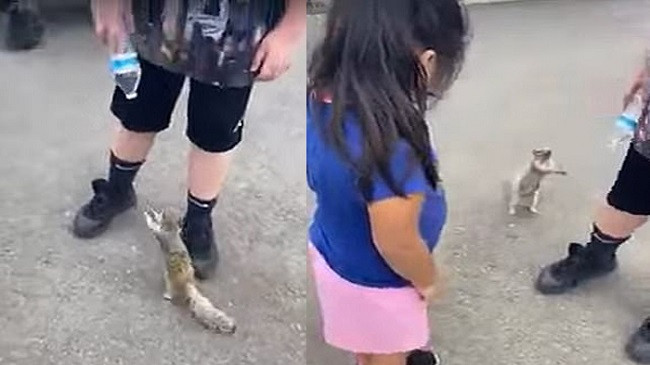 Moment befasues/ Ketri i etur i kërkon ujë një fëmijë