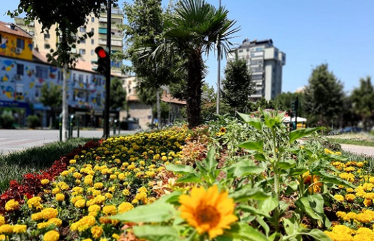 Mësoni si do të jetë moti në Shqipëri dhe Kosovë