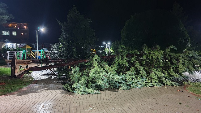 Erërat e fuqishme bëjnë dëme të mëdha në Kamenicë [Foto]