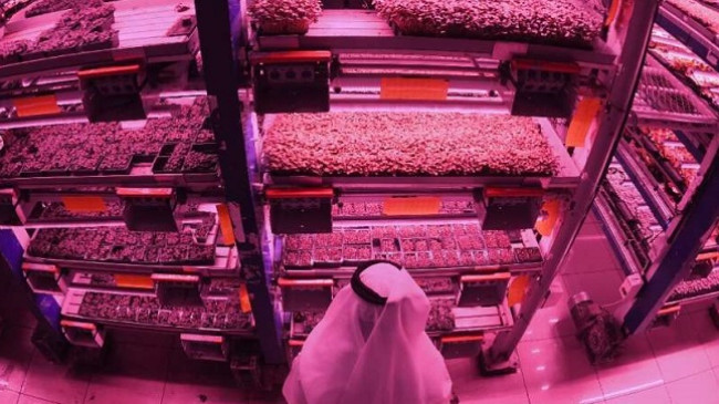 Fermat vertikale - Revolucioni i gjelbër në Dubai