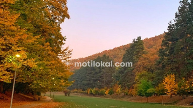 Sot dita e vjeshtës sipas kalendarit meteorologjik