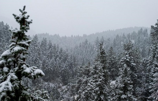 Nga reshjet e papritura të borës tek qiejt portokalli: Disa nga ngjarjet me rëndësi të javës përmes fotove