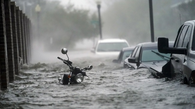 Uragani Sally godet Floridën dhe Alabamën