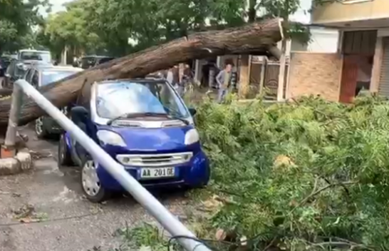 Stuhia godet Shqipërinë/ Era e fortë shkul pemët dhe dëmtohen disa makina në Shkodër