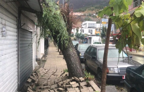 Pasojat e motit të ligë në Bulqizë, rrëzohen disa pemë dhe ndërpritet energjia elektrike [Foto]