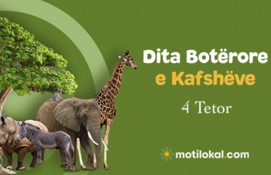 Dita Botërore e Kafshëve, ndërgjegjësim për shfrytëzimin pa kriter të botës shtazore