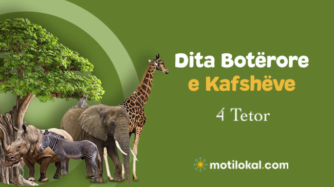 Dita Botërore e Kafshëve, ndërgjegjësim për shfrytëzimin pa kriter të botës shtazore