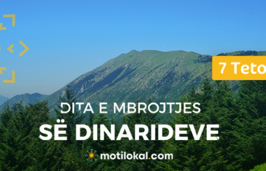 7 Tetori - Dita e Mbrojtjes së Dinarideve