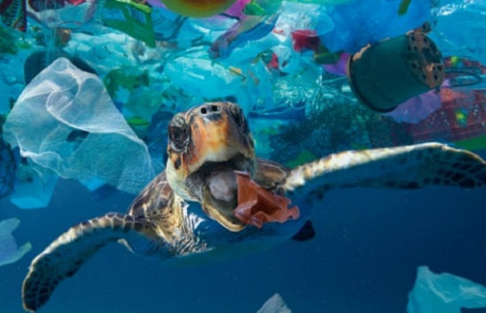 Studim: Më shumë se 14 milionë ton plastikë besohet të jenë në fund të oqeaneve