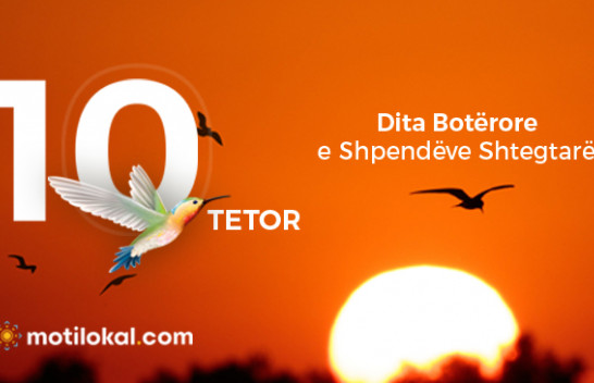 10 Tetori – Dita Botërore e Shpendëve Shtegtarë