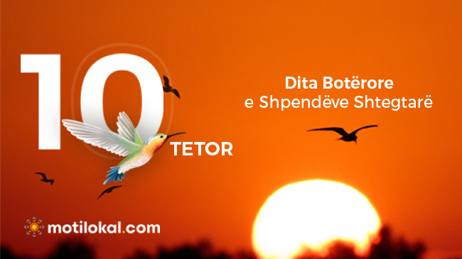 10 Tetori – Dita Botërore e Shpendëve Shtegtarë