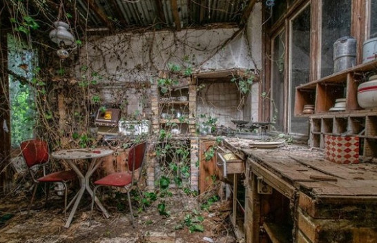 Foto që vërtetojnë se natyra e gjen një mënyrë për të marrë atë që i përket