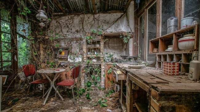 Foto që vërtetojnë se natyra e gjen një mënyrë për të marrë atë që i përket