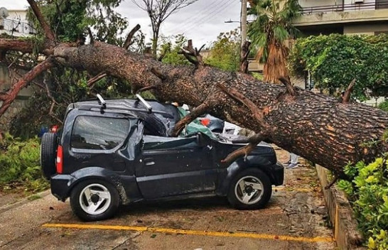 Një stuhi me erëra të forta godet Greqinë, dëmtohen shtëpi dhe vetura [Foto]