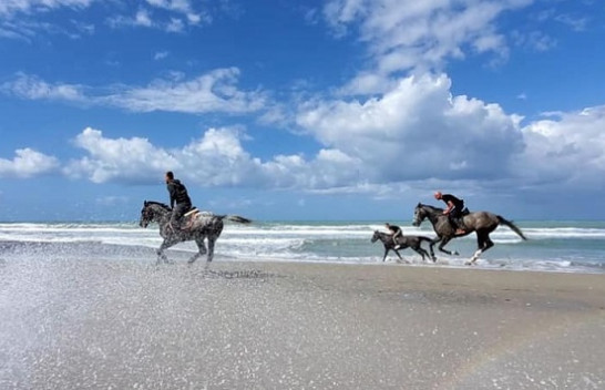 Kalorësit të shtunën zbarkojnë në Darëzezë, zhvillohet për herë të parë gara e hipizmit në Shqipëri [Foto]