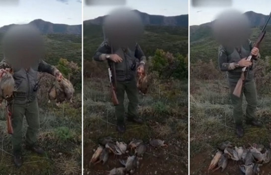 Gjuetari sfidon shtetin, shfaros thëllëzat e malit në Korçë