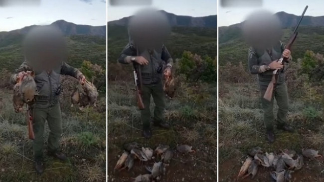 Gjuetari sfidon shtetin, shfaros thëllëzat e malit në Korçë
