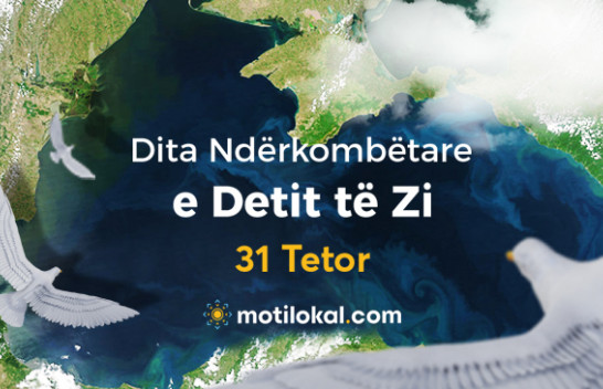 Sot Dita Ndërkombëtare e Detit të Zi