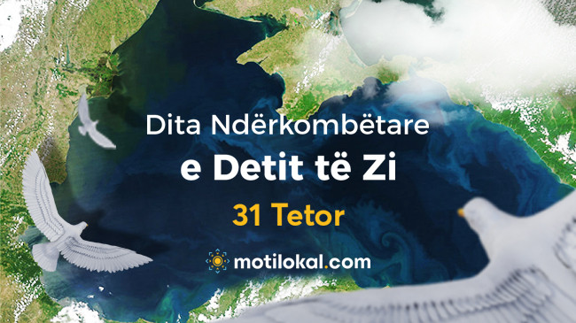 Sot Dita Ndërkombëtare e Detit të Zi