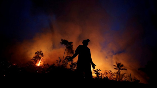 Zjarret në Amazonë u dyfishuan në muajin tetor