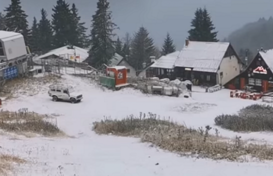Bie bora e parë në Brezovicë