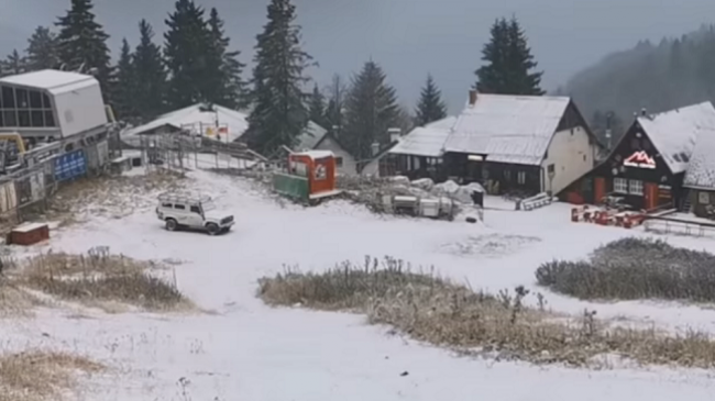 Bie bora e parë në Brezovicë