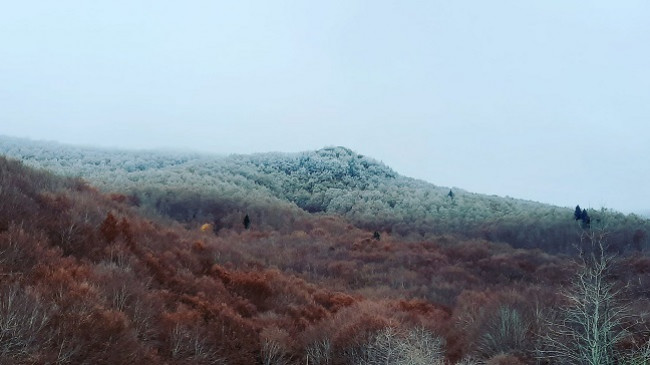 Reshjet e para të borës në viset malore të Maqedonisë së Veriut