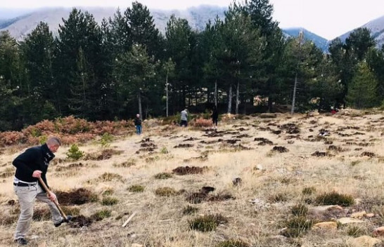 Nis mbjellja e 7000 fidanëve në Parkun Kombëtar Lurë
