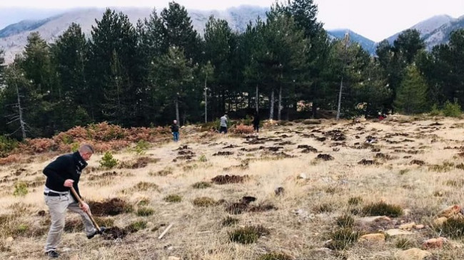 Nis mbjellja e 7000 fidanëve në Parkun Kombëtar Lurë