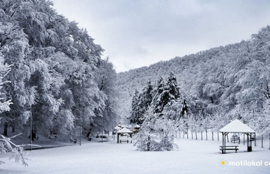 Sot dita e dimrit sipas kalendarit meteorologjik