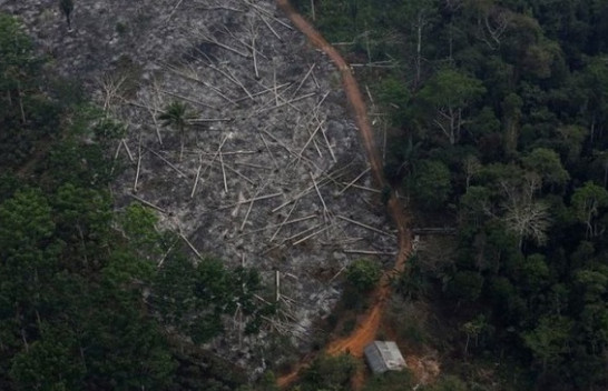 Shpyllëzimi i Amazonës në Brazil arrin nivelin më të lartë në 12 vjet