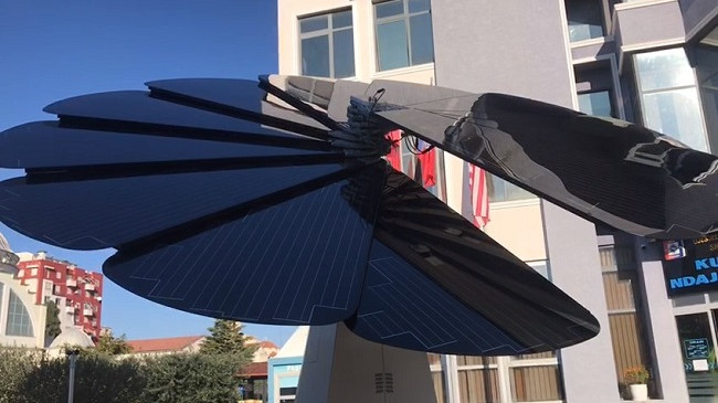 Çel ‘Lulja Inteligjente’ në mes të Shkodrës