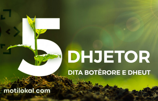 5 Dhjetor – Dita Botërore e Dheut