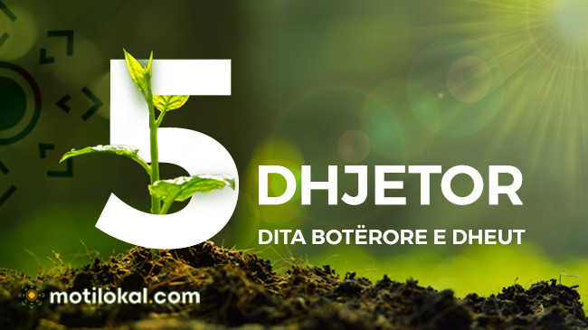 5 Dhjetor – Dita Botërore e Dheut