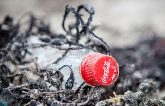 Coca-Cola, Pepsi dhe Nestlé ndotësit më të mëdhenj të plastikës në botë