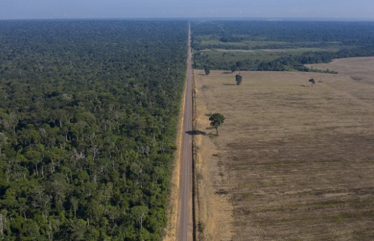 Pylli i Amazonës për 18 vjet humbi një sipërfaqe sa Spanja