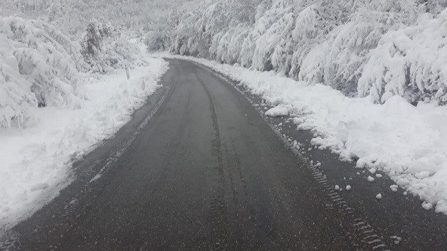 Reshje të dendura bore në Shqipëri, ARRSH njofton për gjendjen e rrugëve