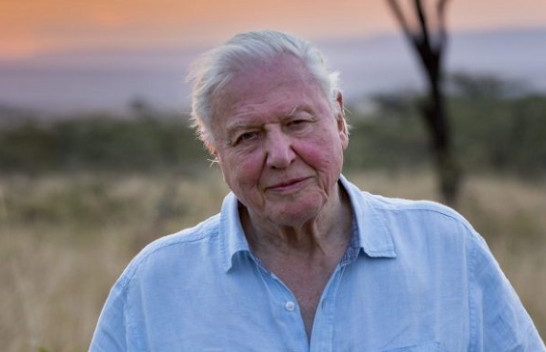 David Attenborough: Viti 2021 është momenti vendimtar për zgjidhjen e krizës klimatike