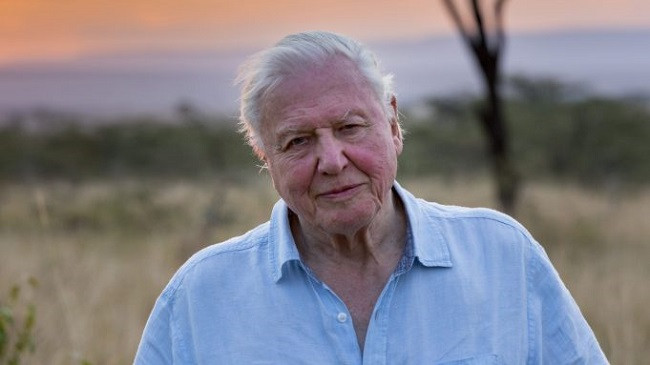 David Attenborough: Viti 2021 është momenti vendimtar për zgjidhjen e krizës klimatike