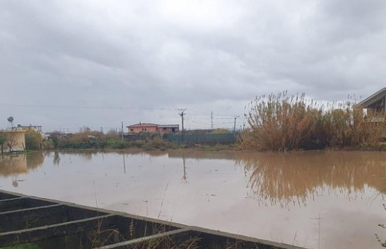 Del nga shtrati lumi Shkumbin, uji vërshon në fshatin e Rrogozhinë [Foto]
