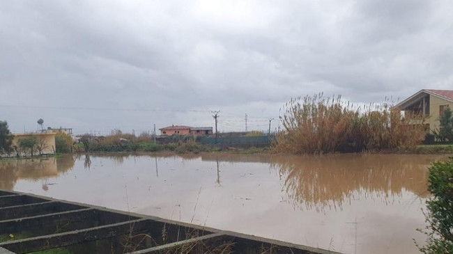 Del nga shtrati lumi Shkumbin, uji vërshon në fshatin e Rrogozhinë [Foto]
