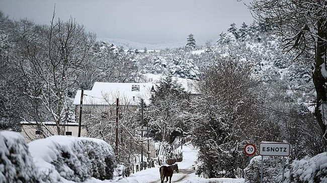 'Brrrrrrrr!': Spanja regjistron temperaturën më të ulët ndonjëherë, -35.8 °C