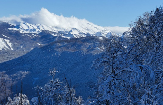 Moti, vranët dhe reshje bore në Shqipëri