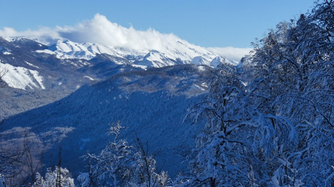 Moti, vranët dhe reshje bore në Shqipëri