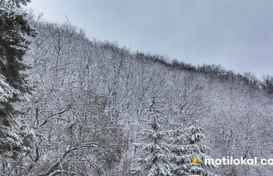 Vranët, diell dhe reshje të dobëta bore, parashikimi i motit për sot dhe nesër në Kosovë