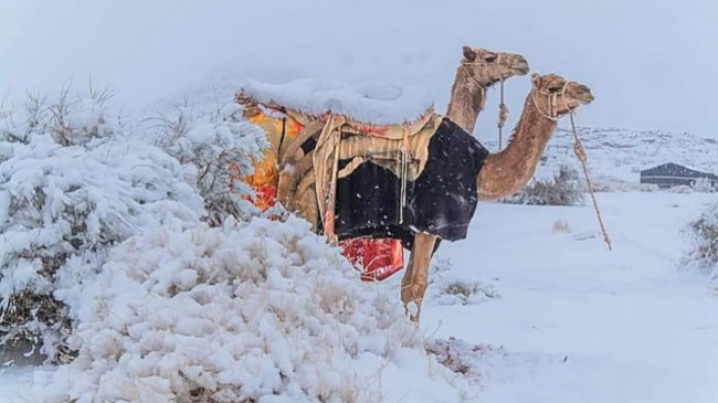 Çfarë po ndodh me motin në botë? Sahara mbulohet nga bora