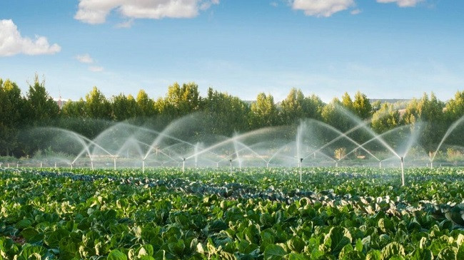 Qeveria e Kosovës, ARDP dhe Banka Botërore prezantojnë Masterplanin 600 milionësh, për ujitjen e tokave bujqësore të Kosovës