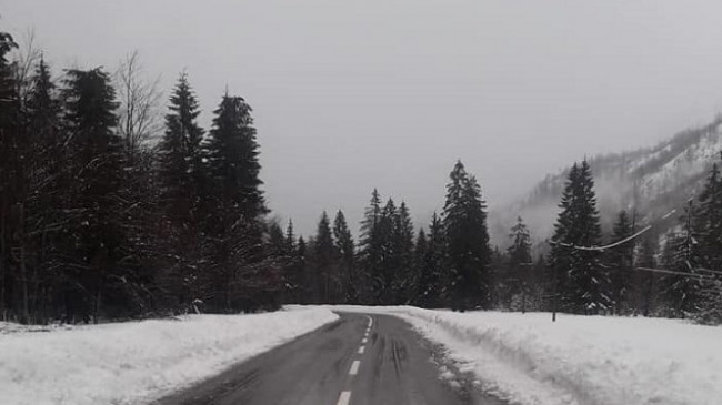 Surprizat e motit/ Java e fundit e janarit me reshje shiu e bore në Shqipëri dhe Kosovë